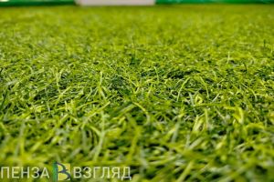 В Белинском подрядчик выкосит газоны за 700 тысяч рублей