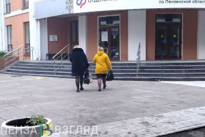 Пензенским ИП на «Госуслугах» рассказали, как оформить больничные и декретные