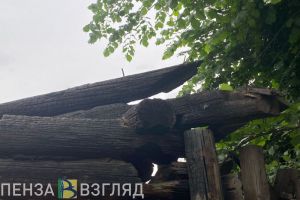 Власти рассказали о «мертвых» деревнях в Никольском районе