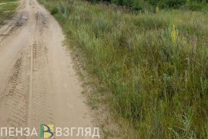 В Пензенской области пожаловались на «хаос и запущенность» села Чумаево
