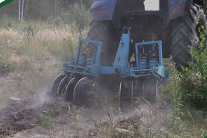 В Пензенской области уход за лесными культурами выполнен на 1913 гектарах