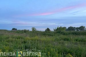 В Пензенской области вновь отменили режим беспилотной опасности