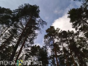 Жители районов Пензенской области сообщают о звучащих сигналах тревоги