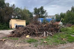 На улицах Краснова и Калинина в Пензе организовали варварское «благоустройство»