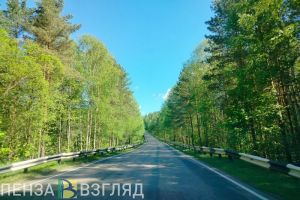 Пензенская область попала в топ-30 российского рейтинга по качеству дорог