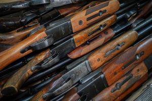 В Пензенской области предложили провести мобилизацию охотников