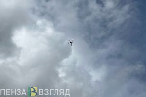 Жителям Пензенской области рассказали, что положить в «тревожные чемоданчики»