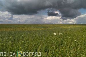 В ближайшие дни пензенцев накроет мощная магнитная буря