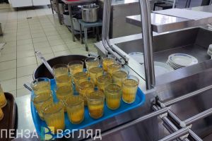 Роспотребнадзор нашел нарушения в 229 школах Пензенской области