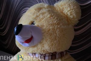 За 1 ребенка родителям в Пензенской области предложили платить 1 миллион