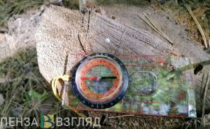 Пропавший в Заречном ребенок найден