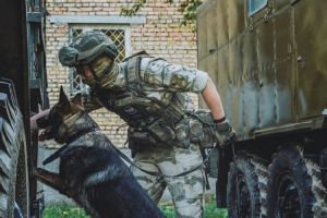 В Пензе прошли учебные сборы кинологов Росгвардии