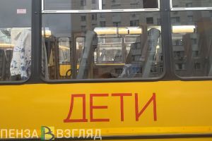 Принято решение о замене автобуса для подвоза школьников из Татарской Пенделки