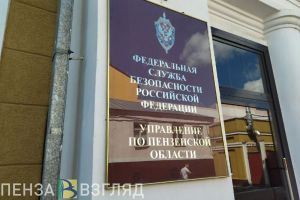 УФСБ предупредило пензенцев о участившихся случаях опасных мошенничеств