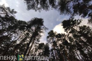 Пензенцы узнали  прогноз магнитных бурь