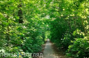 Пензенские врачи дали советы метеочувствительным людям