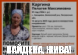 Пропавшую 91-летнюю жительницу Пензенской области нашли