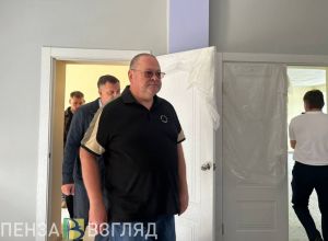 Ремонт ДШИ в Земетчинском районе намерены завершить до 10 ноября
