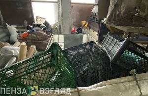 Пензенцы смогут сдать на переработку пластик, технику, одежду