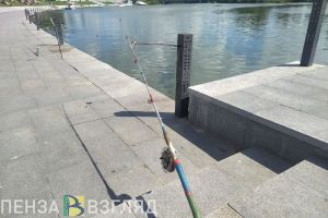 В Пензенской области выявили нарушения правил ловли рыбы