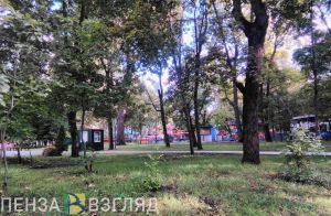 Работы в парке Белинского в Пензе завершат до конца августа