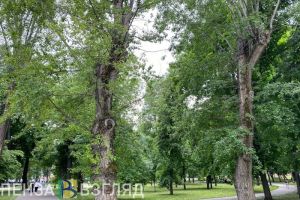 В пензенском микрорайоне Заря планируется создать два сквера