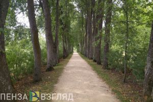 За сутки температура в Пензенской области поднимется на 18 градусов
