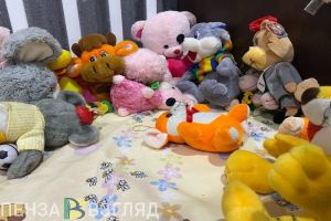 У жительницы Пензенского района аннулировали «ребенка»