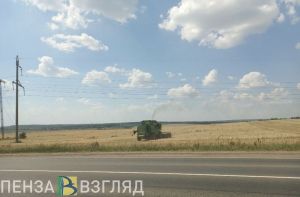 Пензенцев предупредили о последствиях глобального потепления для Поволжья