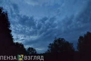 В Пензенской области продолжает действовать режим «Беспилотная опасность»