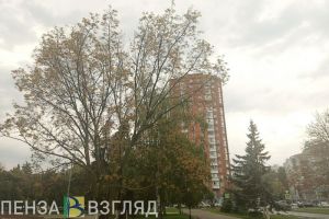 В Пензенской области в ближайшие часы ждут град и мощный ветер
