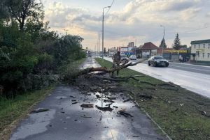 В Пензе коммунальщики устраняют последствия непогоды