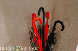 В понедельник в Пензенской области температура поднимется до +20 градусов