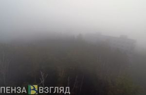 В Пензенской области ожидаются туман и гроза