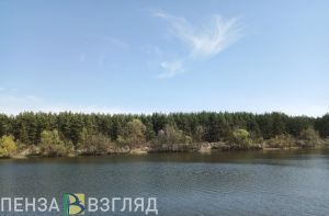 Пензенцев приглашают принять участие в акции «Сохраним лес»