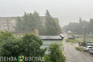 В ближайшие часы на Пензенскую область может обрушиться ливень