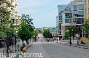 По Пензе пронесут факел Всероссийской эстафеты «Огонь жизни»