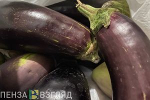 В Пензе пройдет осенняя выставка-ярмарка продукции местных товаропроизводителей