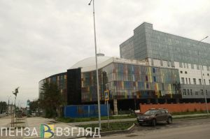 В здании Пензенского цирка выявили 39 трещин, дефекты и вздутия