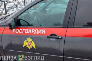 В Росгвардии рассказали об инциденте в пензенском караоке-баре