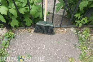 В Пензе начался месячник по благоустройству