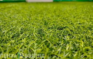 В Пензе закупили планшеты для фиксации парковки на газонах