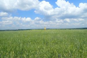 Курганная группа в Пензенской области стала объектом федерального значения