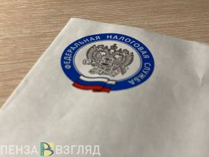 Пензенцам рассказали о способах получить налоговый вычет в упрощенном порядке