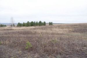 В Сердобске проведут археологические полевые работы