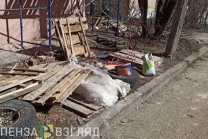 На восстановление «Юности» и «Родины» в Кузнецке нужны сотни миллионов рублей