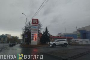 Подорожание бензина, покупка главной елки Пензы и инцидент в парке в Заречном: новости Пензы и области за 20 октября