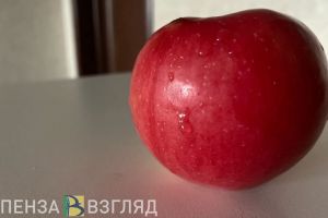 Пензенский врач-гастроэнтеролог назвал наиболее полезные для детей фрукты