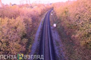 Пензенский лен экспортировали в Белоруссию, Латвию и Бельгию