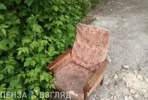 Для пензенцев прописали правила о выбросе веток и крупногабаритных отходов